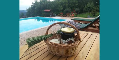 Photo of supplier banner_photos/kosara-696a654daf526.jpg