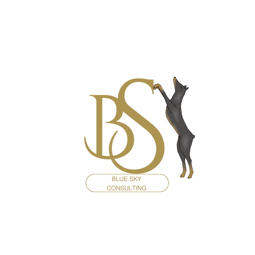 Logo of supplier Blue Sky Consulting